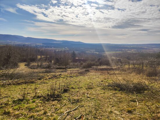 Vindornyalak szőlőhegy 6877 m2 zártkerti telek 10M Ft